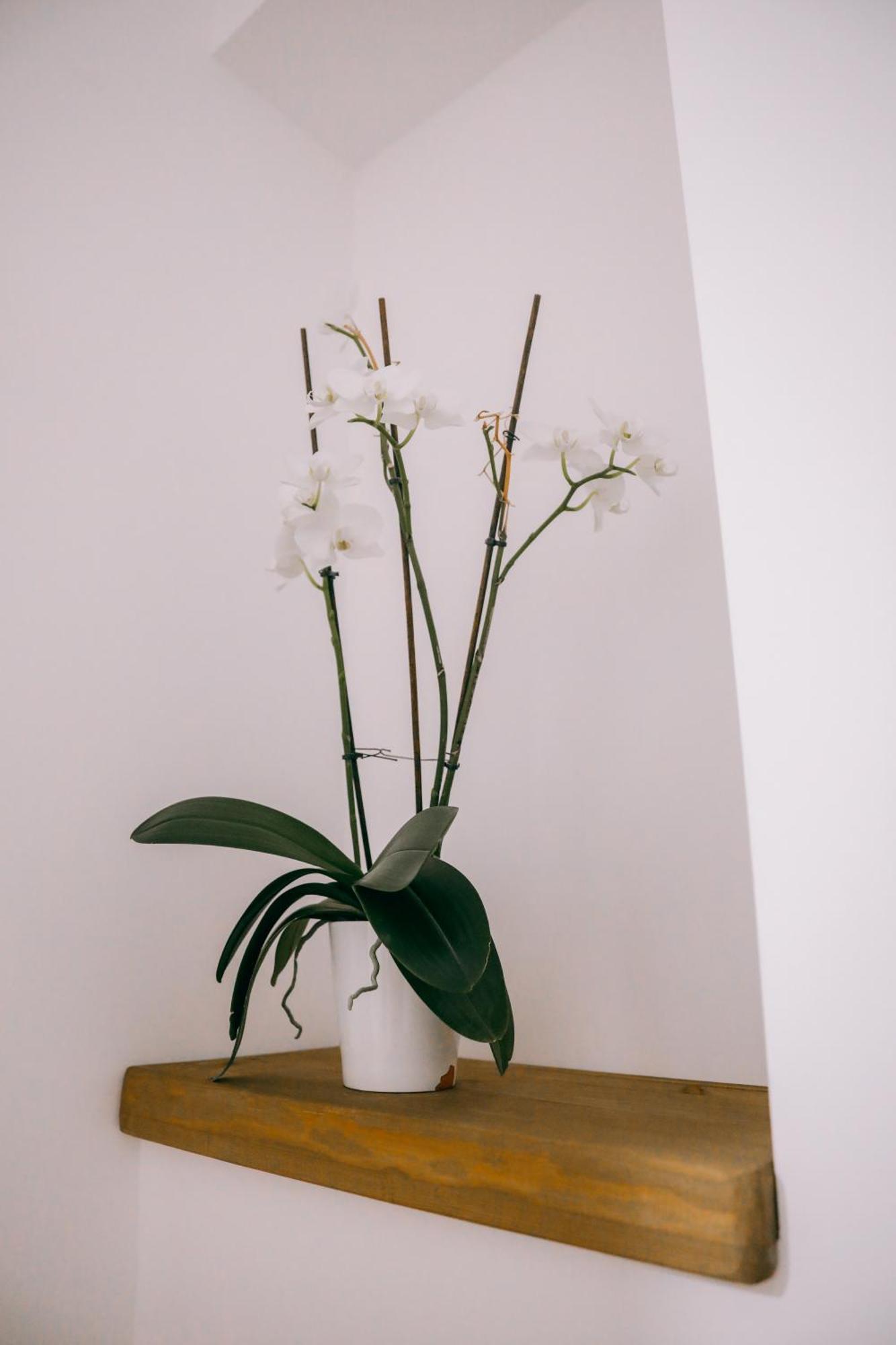 Vila Franko 베라트 외부 사진